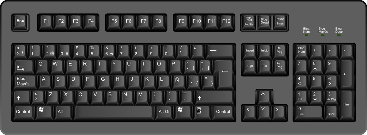 Cuáles son las partes del teclado